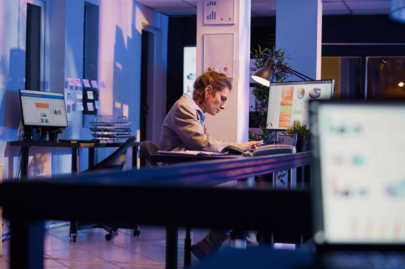 software-house-malang